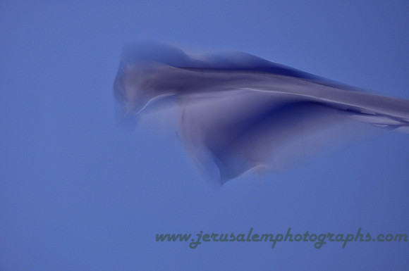 Abstracted Flag